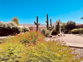 Come Along On Kay’s Wellness Journey at Canyon Ranch in Tucson, AZ