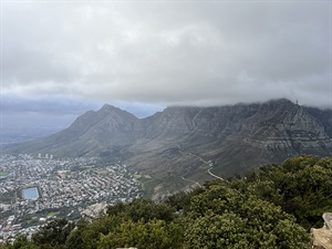 Amy’s Southern Africa Journey: Iconic Cities, Epic Safaris, & Stunning Waterfalls