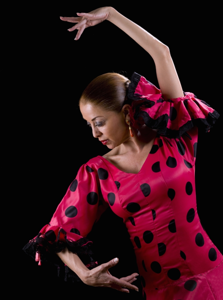Flamenco Flamenco