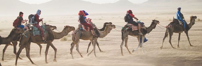 Riding Camels