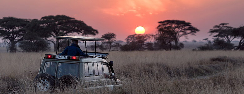 African Safari Tour