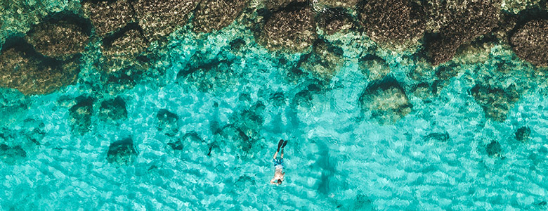 Snorkeling in Aruba