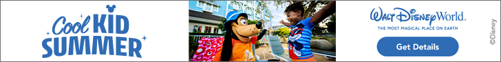Riverdale Travel Disney Cruise Line Banner