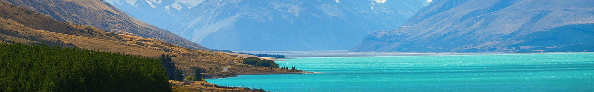 New Zealand Beach